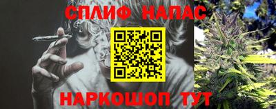 спиды Кимры